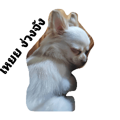 summer_20250803184435