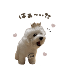 uchinoko_honpo._20250802091219