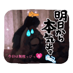 Panda_20250802134505