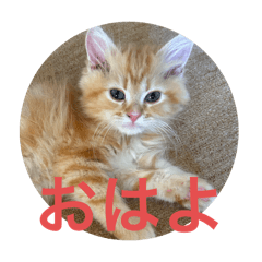 akiko_20250803110304