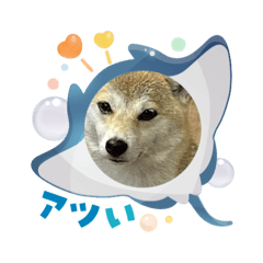 makoto_20250803121038