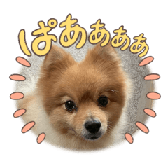 wanco_20250803163940