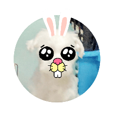 natsumi_20250803165011