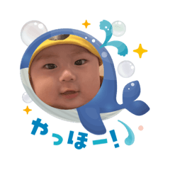 Lotus_20250803175908