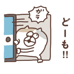 すんとしたねこ　絡みたい