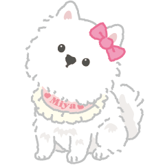 黏呼呼Miya小公主來撒嬌啦！