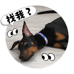 bluemonday.bruce_20250802140816