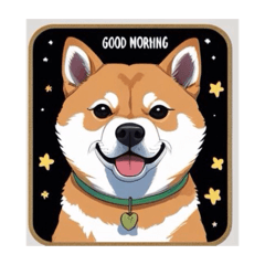 我的非常可愛柴犬