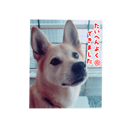 Non_20250802231203