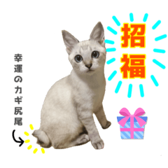 meichan2_20250803165414