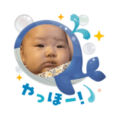 sakura_20250803201641