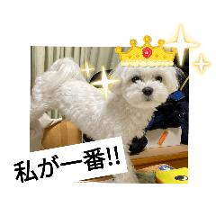 natsumi_20250803165741