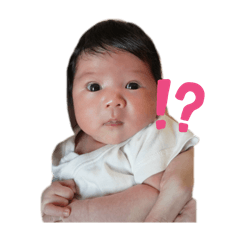 shimfam_20250803170521