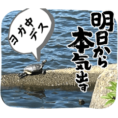 自然を撮ったどー！