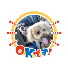 yuka_20250804115232