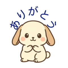 Pretty long ear rabbit