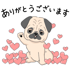 My color パグ　フォーン