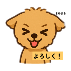 mamemaru310
