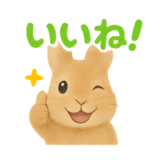 nameco_20250803220848