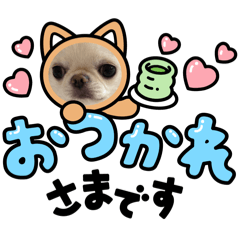 yumi_20250804111938