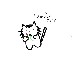 habibi_20250804102443