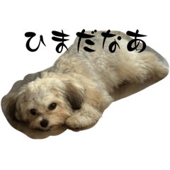 nanami_20250803153855