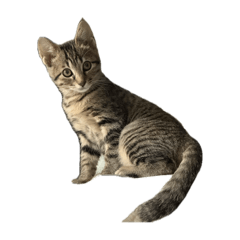 OHAGI_20250803174540