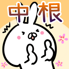 Nakane usagi namae Sticker