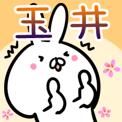 Tamai usagi namae Sticker