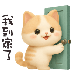 ^•ﻌ•^ฅ 小貓貓到家了