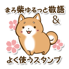 Japanese dog maro Shiba Inu