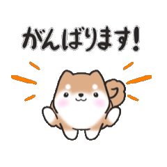 動く！元気まるまる豆柴✴︎返事スタンプ