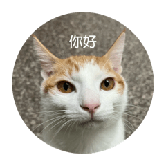 柚子無用小貼圖