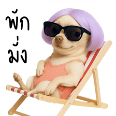 Spaghetti-Strap Chihuahua