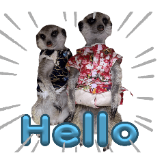 膜鬼貼手～狐獴店長2