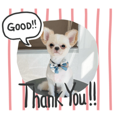 sachi_20250802180308