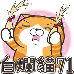 白爛貓71☆大噴發☆