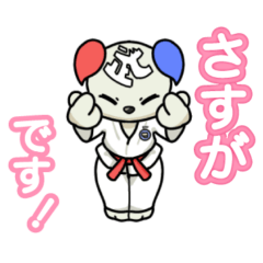 テコンドー ホンチョンくん 2