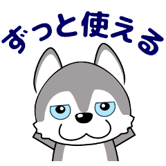 優しい大人の気づかいシベリアンハスキー