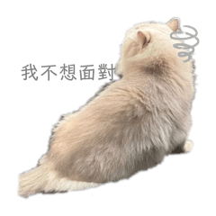 本丸哥