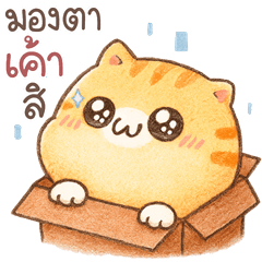 KongKong the cat v.cartoon