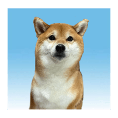 M_20250804020603