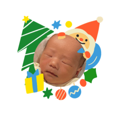 minorin_20250804140518