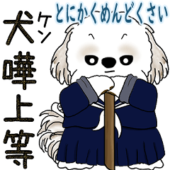 シーズー犬 「飛び出す」面倒くさいの...