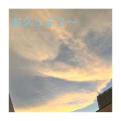 shibamon_20250804071807