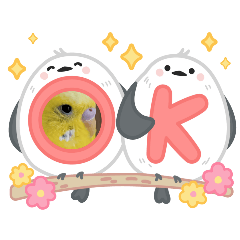 sakura_20250804160514