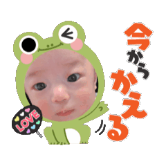 hikari_20250804171203