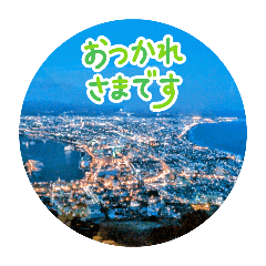 Flower_20250804161258