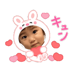 tora_20250804171526