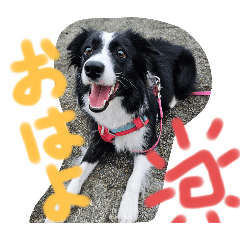 ANGEL_20250804074106